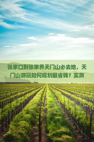 张家口到张家界天门山必去地