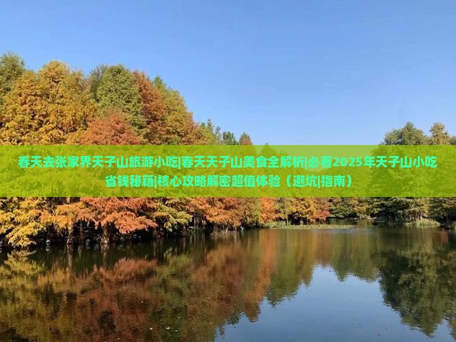 春天去张家界天子山旅游小吃