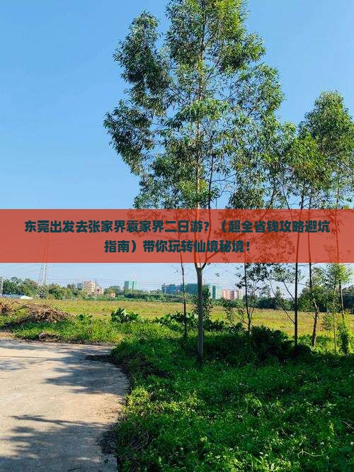 东莞到张家界袁家界二日游