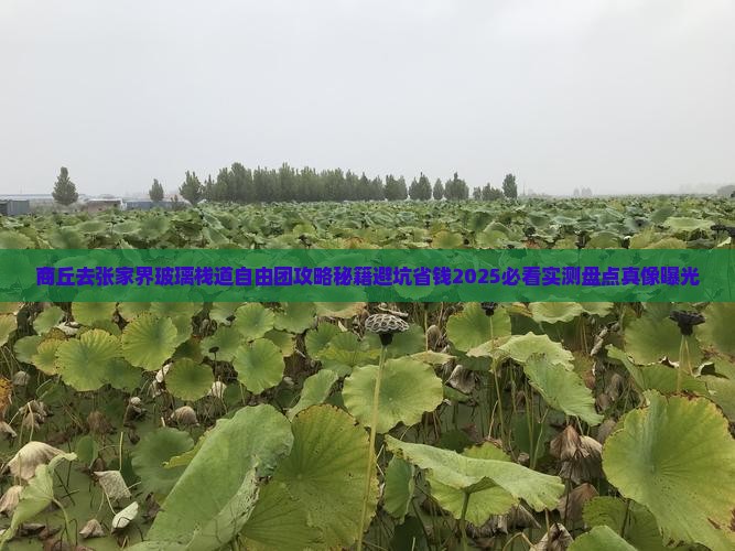 商丘去张家界玻璃栈道自由团