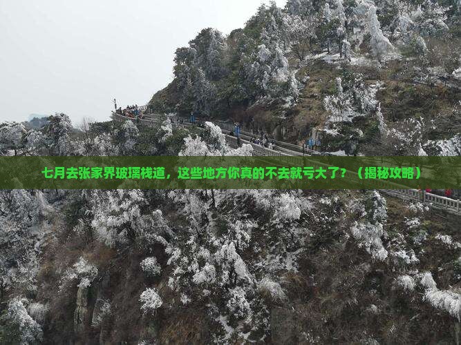 七月到张家界玻璃栈道必去地
