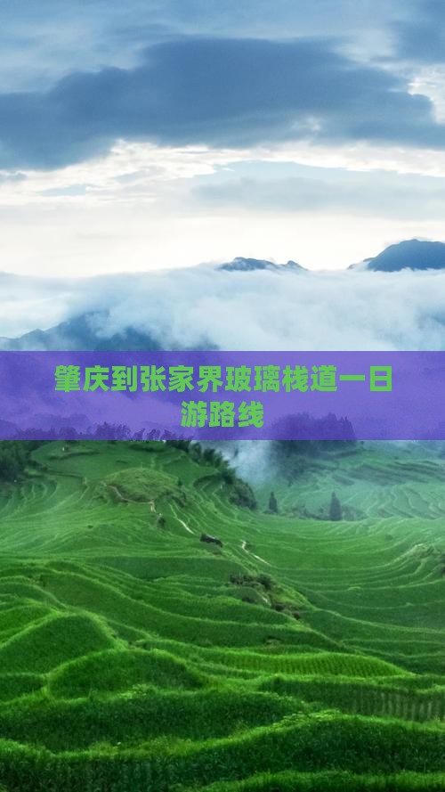 肇庆到张家界玻璃栈道一日