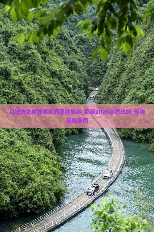 白城去张家界袁家界团体旅游