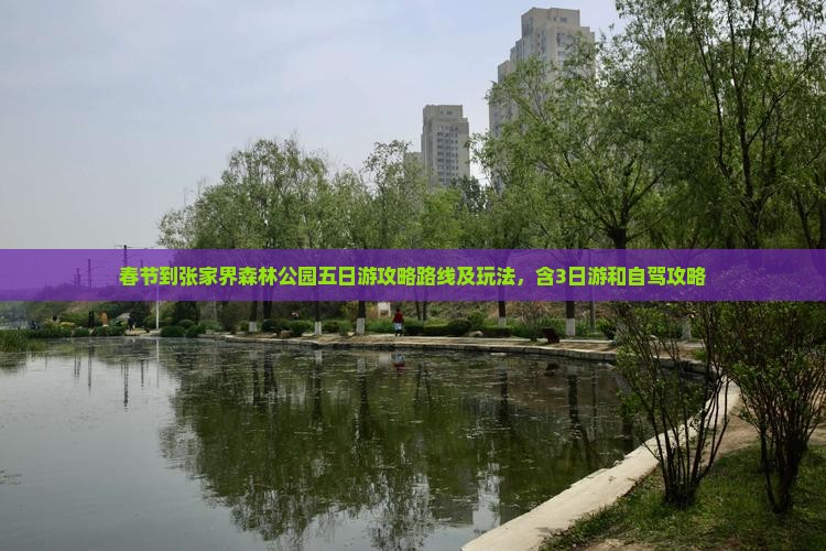 春节到张家界森林公园五日游 春节到张家界森林公园五日游