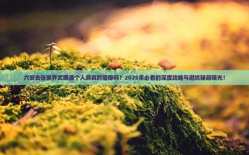 六安去张家界武陵源个人游