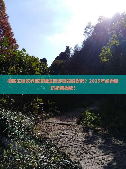 桐城去张家界玻璃栈道旅游