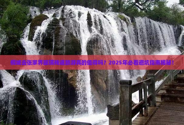 桐城去张家界玻璃栈道旅游