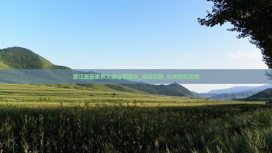 潜江去张家界大峡谷哪里玩