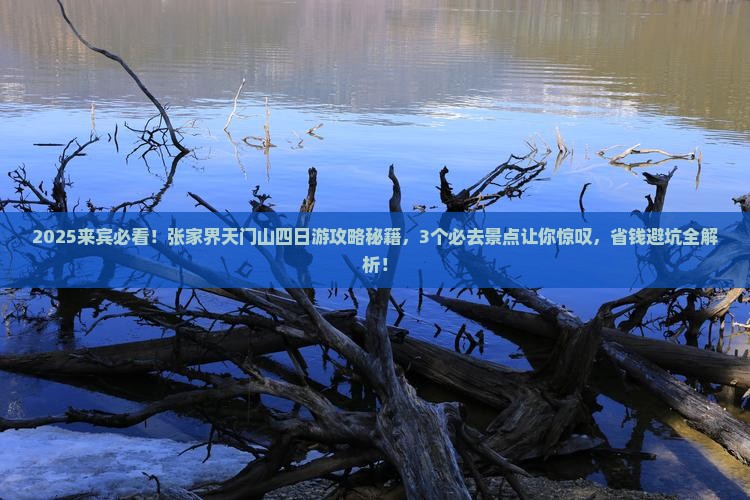 来宾到张家界天门山四日游