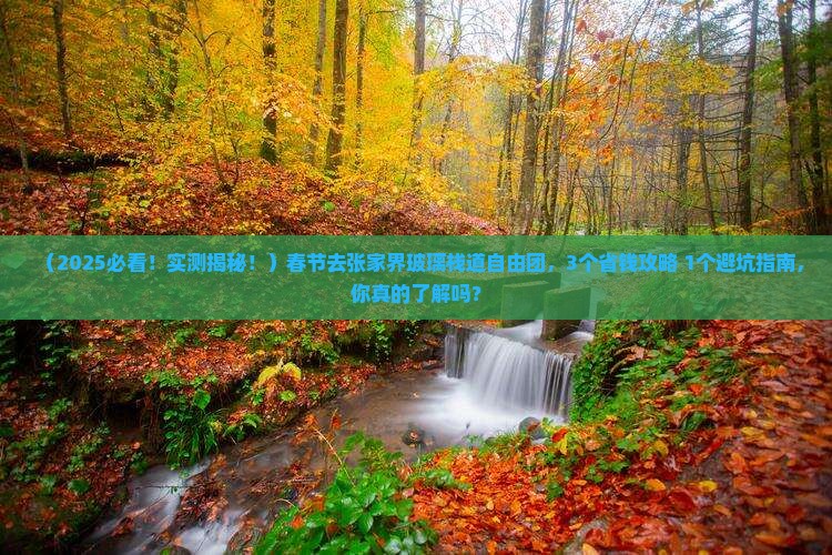 春节去张家界玻璃栈道自由团