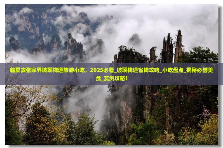 临夏去张家界玻璃栈道旅游小吃