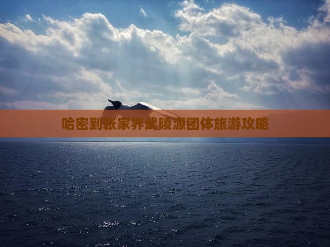 哈密到张家界武陵源团体旅游