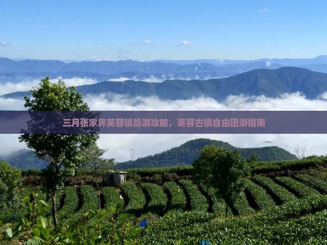 三月到张家界芙蓉镇自由团