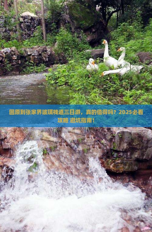 固原到张家界玻璃栈道三日游