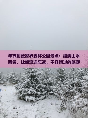 毕节到张家界森林公园景点