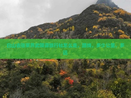 白山去张家界武陵源旅行社