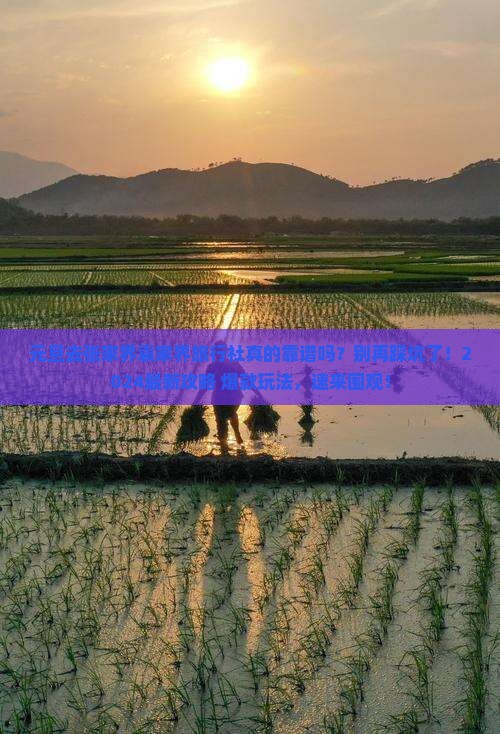 元旦去张家界袁家界旅行社