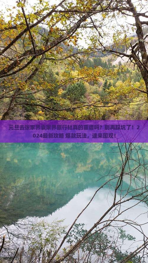 元旦去张家界袁家界旅行社