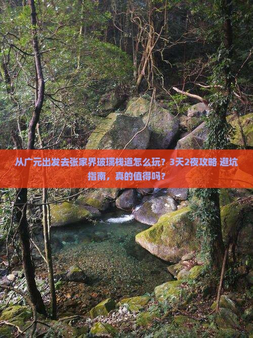 广元去张家界玻璃栈道旅游