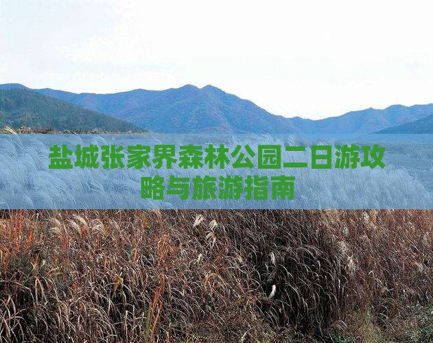 盐城到张家界森林公园二日游