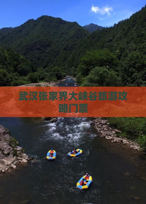 武汉去张家界大峡谷门票