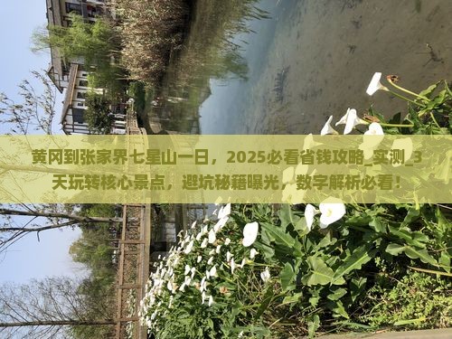 黄冈到张家界七星山一日