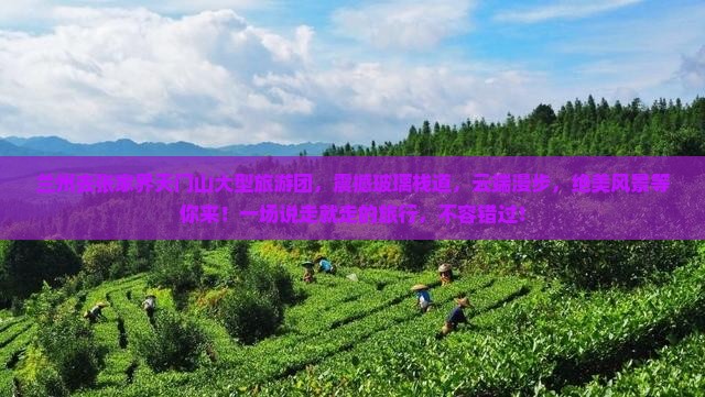 兰州去张家界天门山大型旅游团