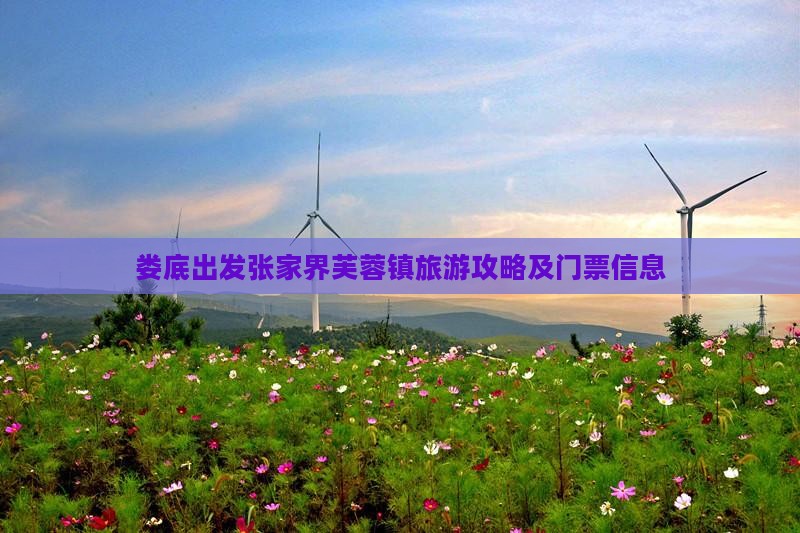 娄底去张家界芙蓉镇门票