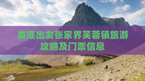 娄底去张家界芙蓉镇门票