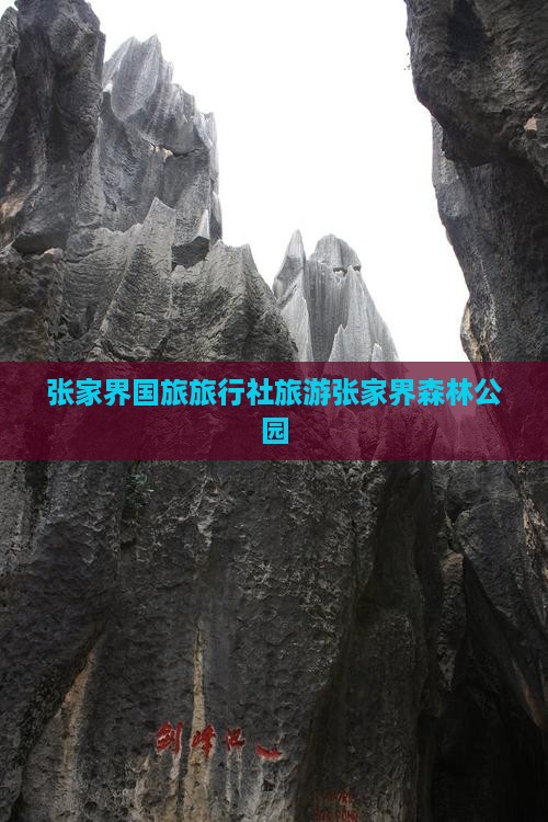 山南去张家界森林公园旅行社