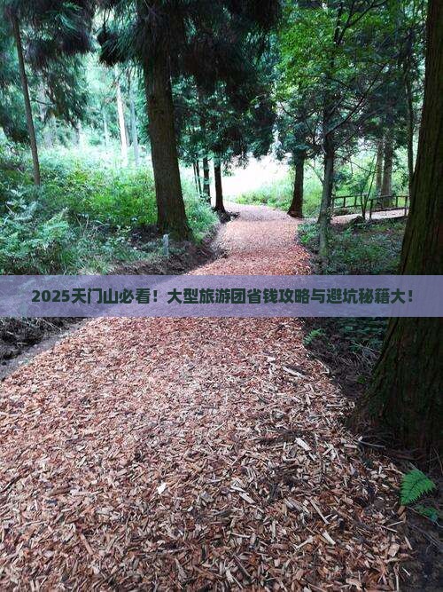 来宾到张家界天门山大型旅游团