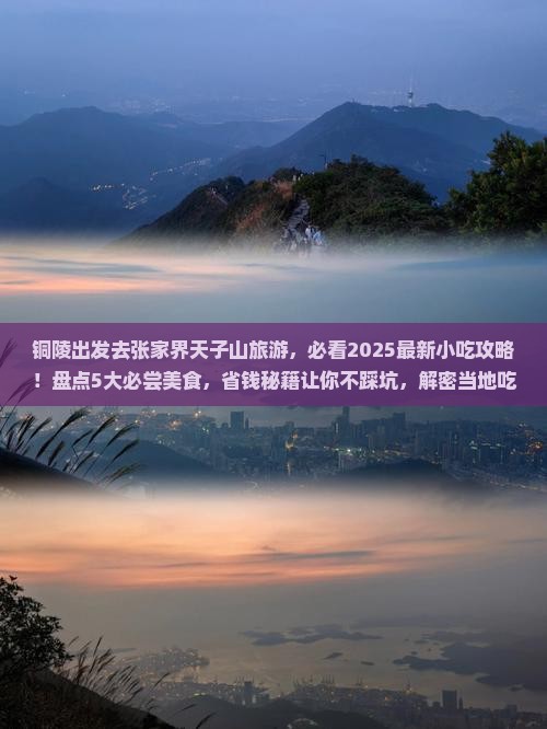 铜陵到张家界天子山旅游小吃