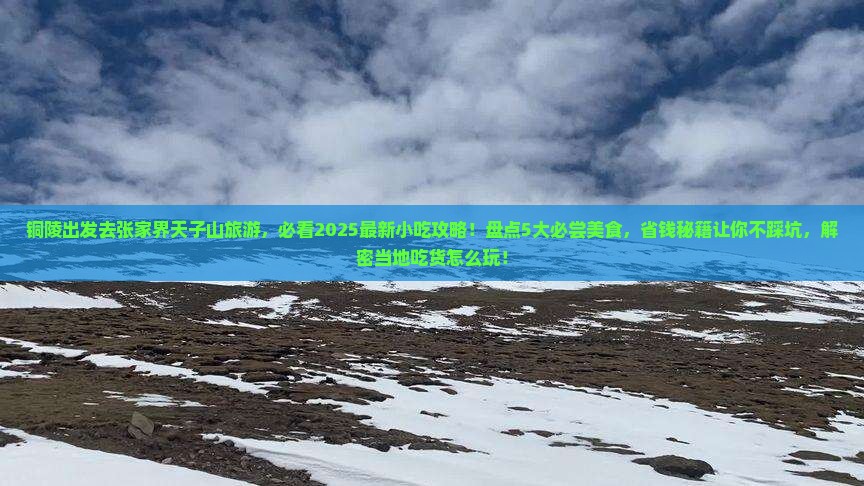 铜陵到张家界天子山旅游小吃