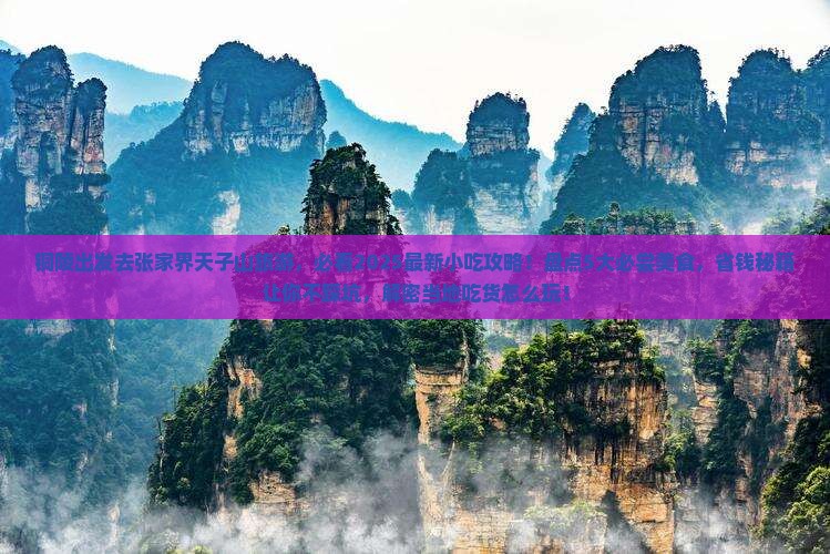 铜陵到张家界天子山旅游小吃
