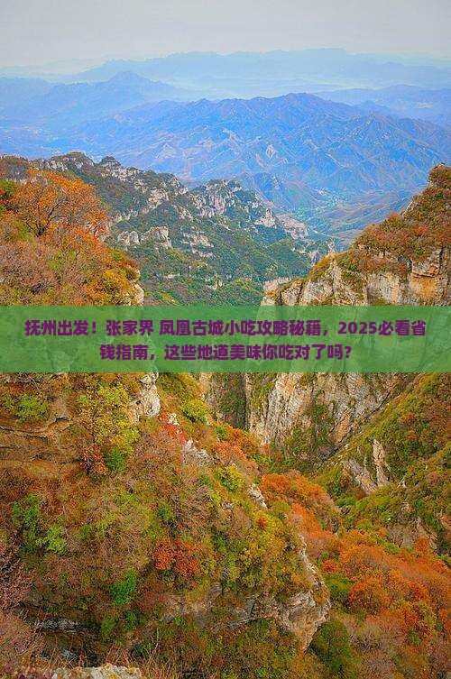 抚州到张家界凤凰古城旅游小吃