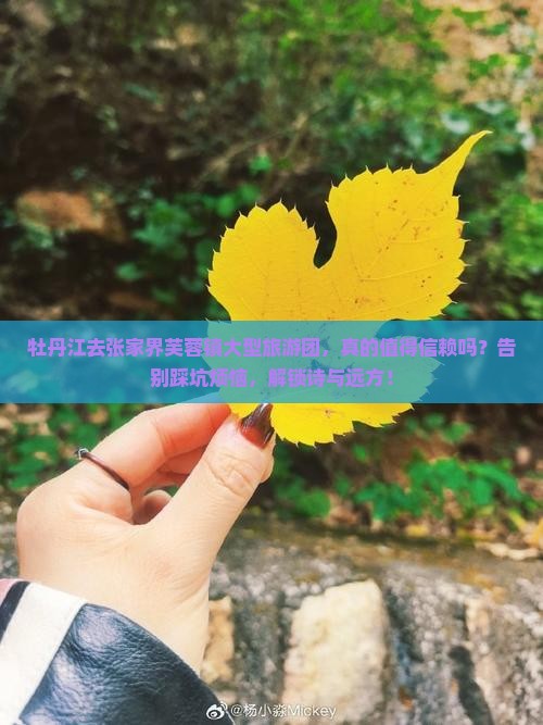 牡丹江去张家界芙蓉镇大型旅游团