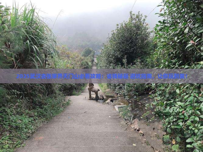 武汉去张家界天门山必去地