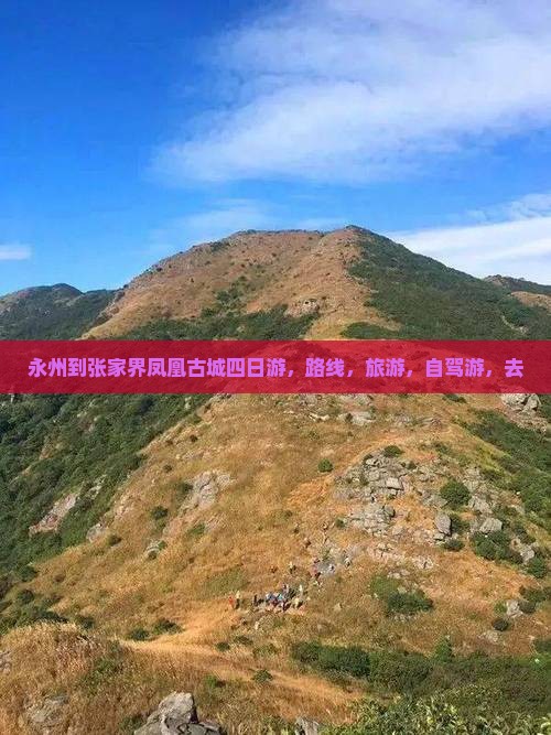 永州到张家界凤凰古城四日游