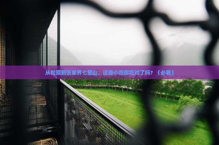 松原到张家界七星山旅游小吃