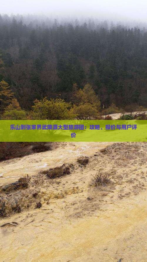 乐山到张家界武陵源大型旅游团：攻略、报价与用户评价
