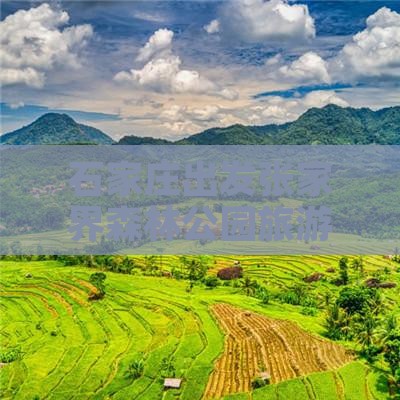 石家庄出发张家界森林公园旅游攻略指南