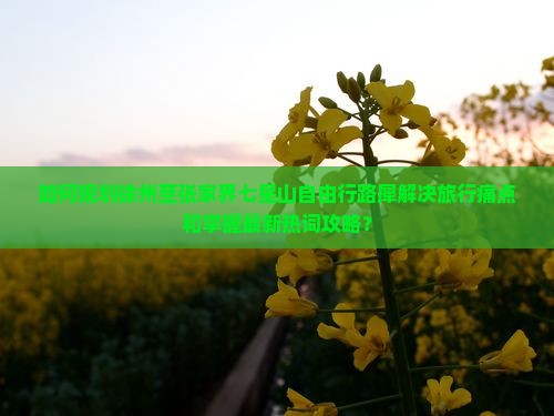 如何规划徐州至张家界七星山自由行路犀解决旅行痛点和掌握最新热词攻略？