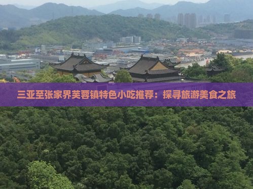 三亚至张家界芙蓉镇特色小吃推荐：探寻旅游美食之旅