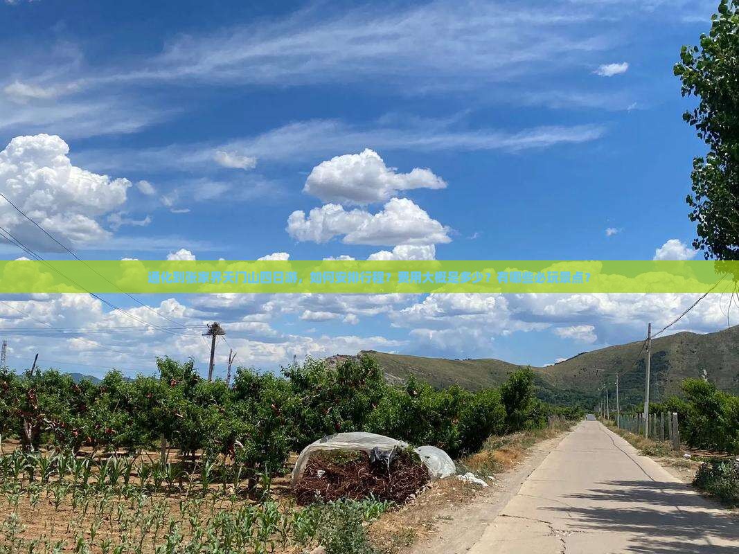 通化到张家界天门山四日游，如何安排行程？费用大概是多少？有哪些必玩景点？