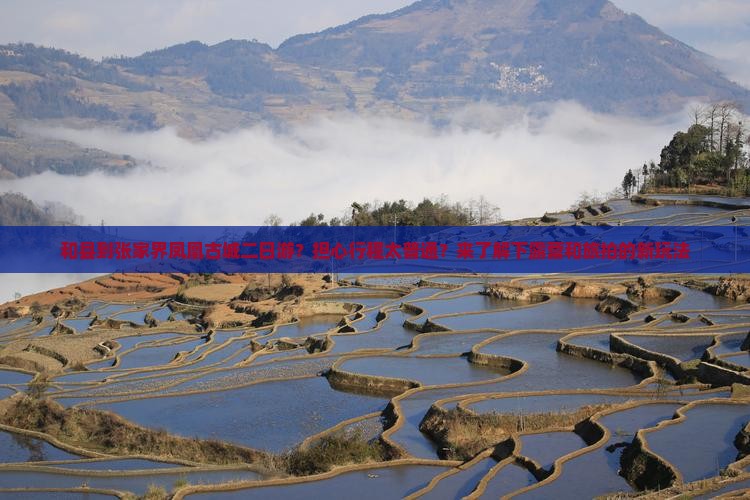 和县到张家界凤凰古城二日游？担心行程太普通？来了解下露营和旅拍的新玩法