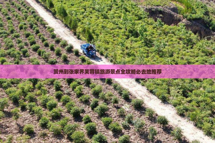 贺州到张家界芙蓉镇旅游景点全攻略必去地推荐