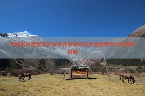 锦州出发至张家界袁家界旅游攻略及当地特色小吃推荐指南