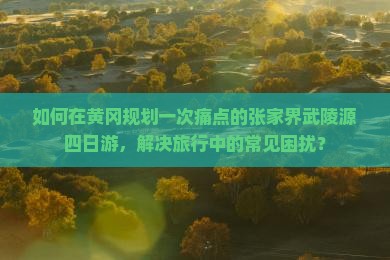 如何在黄冈规划一次痛点的张家界武陵源四日游，解决旅行中的常见困扰？