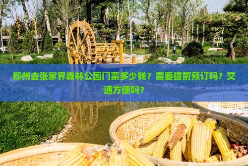 郑州去张家界森林公园门票多少钱？需要提前预订吗？交通方便吗？
