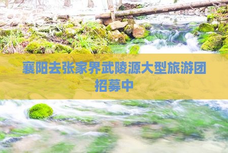 襄阳去张家界武陵源大型旅游团招募中 襄阳去张家界武陵源大型旅游团招募中